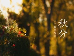 秋分是什么时候?秋分饮食的五大建议