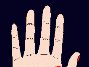 断掌手相图解:女人断掌手相图解