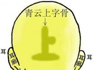 骨相图解:青云上字骨