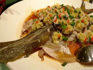 鸭嘴鱼是什么?鸭嘴鱼的营养价值