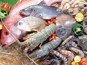 如何挑选新鲜海鲜?如何选购新鲜的鱼虾蟹