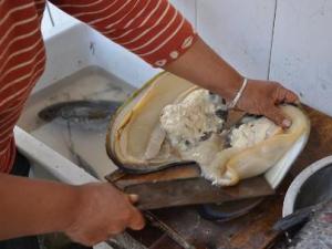 河蚌怎么洗才干净?河蚌怎么做好吃?河蚌肉的做法