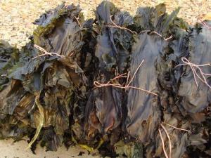 如何挑选干海带?干海带的挑选方法