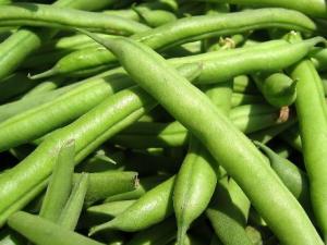 如何挑选新鲜的四季豆?四季豆的选购技巧