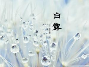 白露是什么时候?白露饮食最佳之选