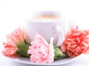 吃植物奶油好吗?宝宝的哪些零食中含植物奶油