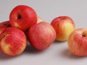 吃苹果伤牙?苹果酸含量低微不足以损伤牙齿