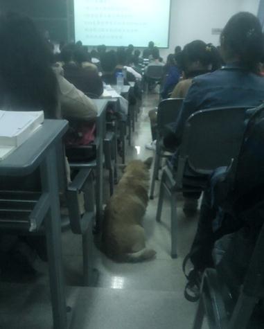 ��ѧ�Թ������ӿƼ���ѧ����ߺ죬�Ӣ�����������ͦ����