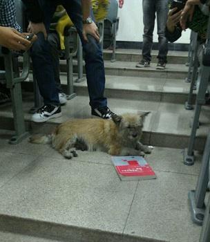 ��ѧ�Թ������ӿƼ���ѧ����ߺ죬�Ӣ�����������ͦ����