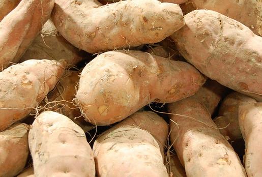 红薯营养丰富,但属于碱性食物,吃多了会“烧心”