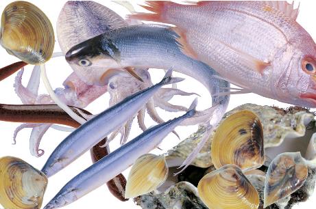 得了荨麻疹不能吃什么?荨麻疹的饮食禁忌