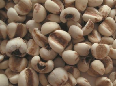 吃薏米有什么好处?薏米的功效与作用及食用方法