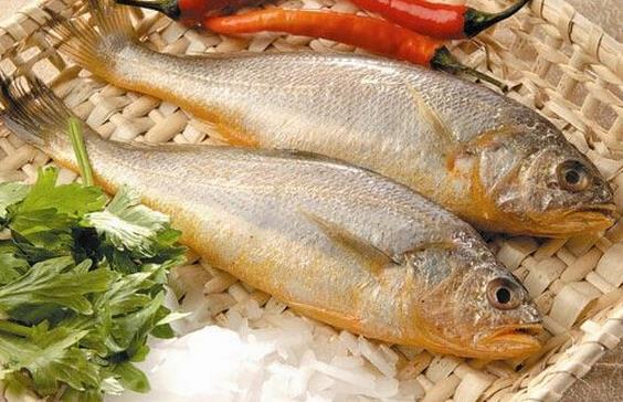 如何辨别染色黄鱼?辨别染色黄鱼的方法