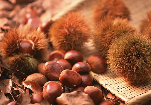 板栗怎么保存?板栗的储存方法