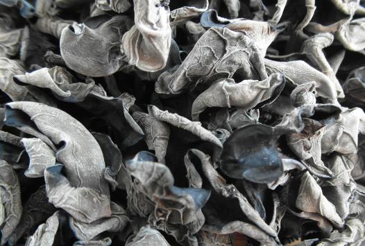 干木耳能用热水泡吗?热水泡干木耳好吗