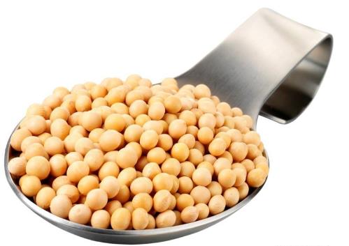 哺乳期能吃黄豆?哺乳期吃黄豆的做法