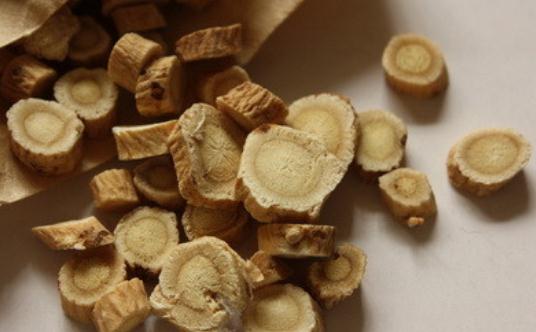 怎么通过中医来补血?中药调养的方法