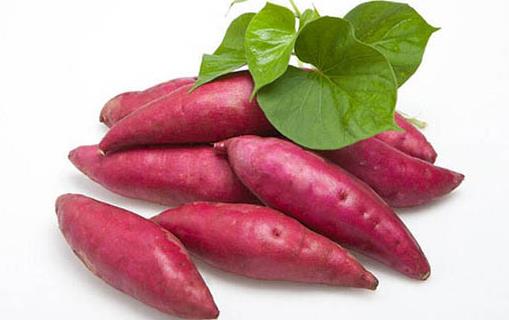 红薯发芽了还能吃吗?食用红薯的注意事项