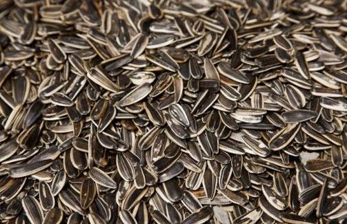 晚上吃什么有助于改善睡眠?