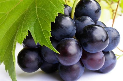 女性补血吃什么好?冬季补血食物推荐