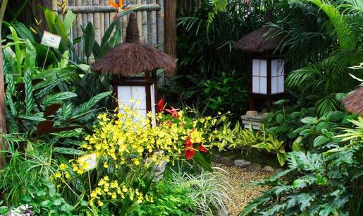 庭院风水设计要点-庭院风水水池如何布置?