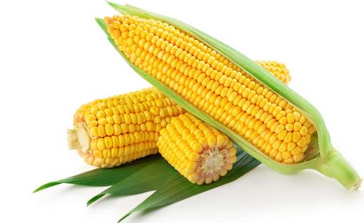 冬季养胃吃啥好?9种食物来护胃