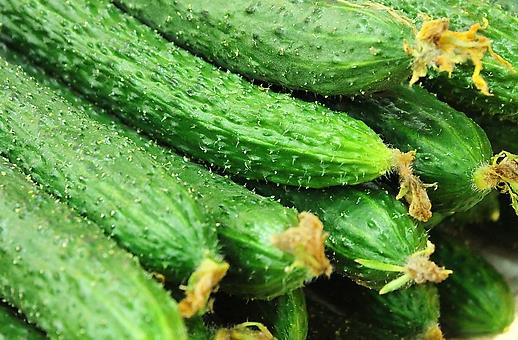 夏季吃什么美容?10大美容护肤食物推荐