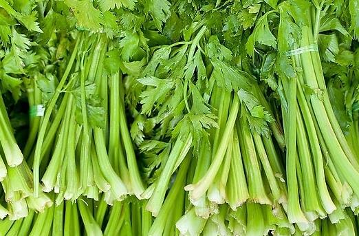 患冠心病吃哪些蔬菜好?