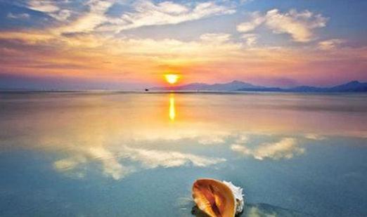 职场晋升必知:无视公司的文化