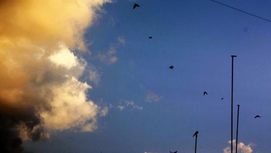 患上“网络拖延症”该怎么办?