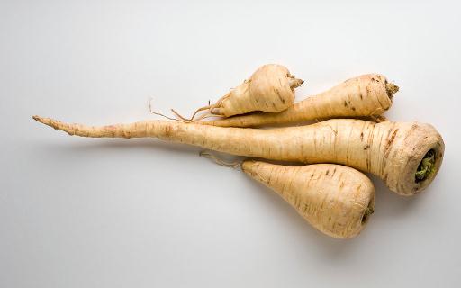 欧防风是什么?欧防风的吃法