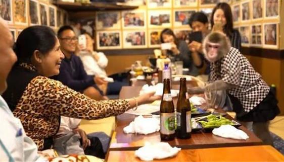 日本最火爆的餐厅之一 猴子当服务生,报酬只要香蕉