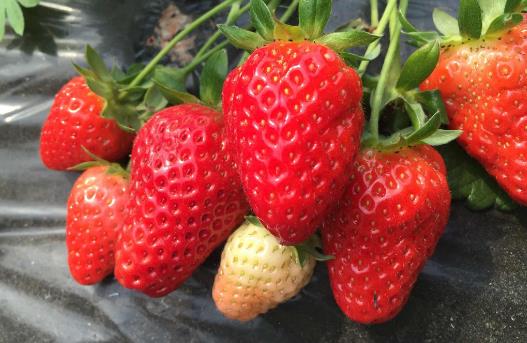 20个保存食物的小妙招,保证让你受用无穷!