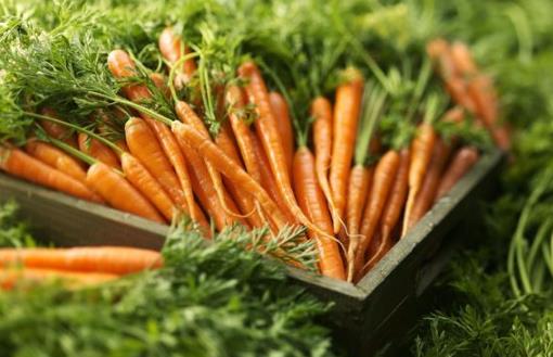 胡萝卜有点甜糖尿病人可不可以吃?