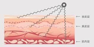 美容不止Refa和露娜,这才是年轻养生党想要的