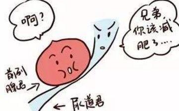 【排尿困难】排尿困难吃什么药_男女性排尿困难的原因_排尿困难名词解释 【排尿困难】排尿困难吃什么药_男女性排尿困难的原因_排尿困难名词解释