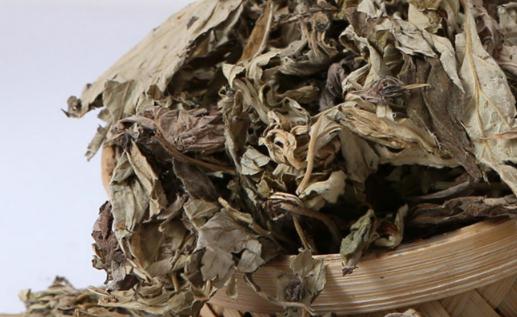 湿疹用艾草泡澡需要用清水再洗一遍吗 为什么湿疹洗艾草越洗越痒