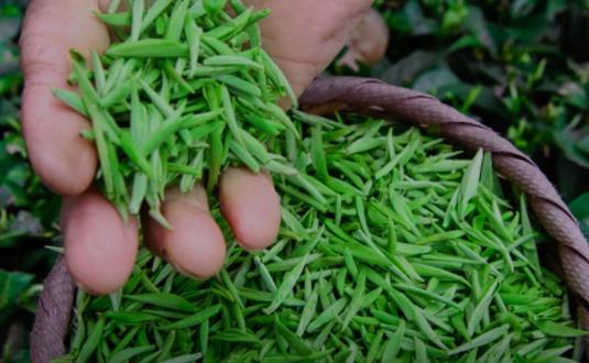 �̲��������ˮ���� Ϊʲô�Ȳ�Խ��Խ�ڸ�