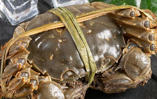 ��������зΪʲô��� �䶳����з���ԷŶ��