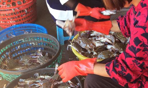 �ӱ������ó������з����ֱ�ӳ��� �з����ʲô��������