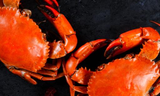 �з��ʲôһ��������� �з���겻�����ô��