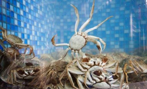 �����з����Сʱ�ܳ������� �����з��Ե�ʲô�ȽϺ�