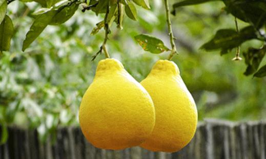 �����������ӻ������� �����ּ��ʷ�������