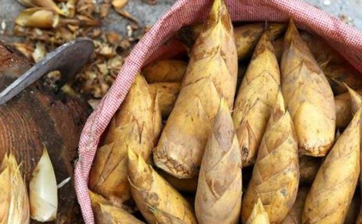 ��������Ҫ��Ҫ��ˮ ����ű���û��Ƿ������