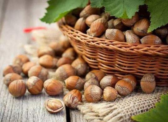 ������������Ļ�����ģ����������ô����