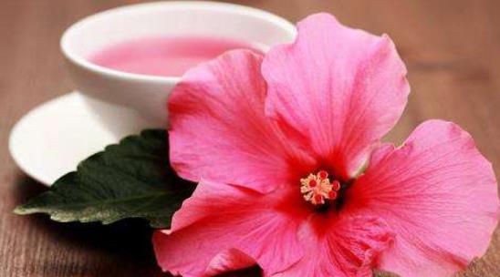 ���ڻ�������Щ������ʹ����ʳ�Ʒ�����Щ��