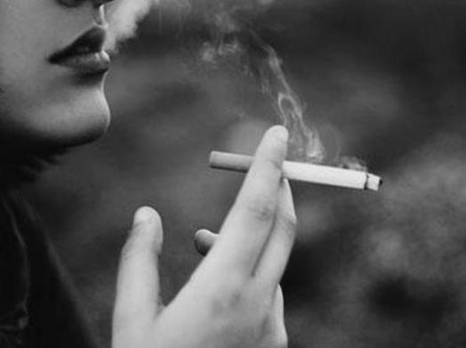 ��μ������̶�������ɵ��˺������̶����ϵĶ�����Ӱ����