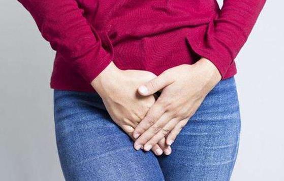 ���Ʋ����ܳԵĶ��������Ƽ�����ʳ��ʳ��