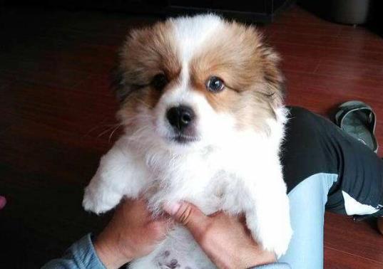 ��ץ��һ�㲻���Ⱦ��Ȯ���𣿹�û����ȷ���Ȯ������ô����