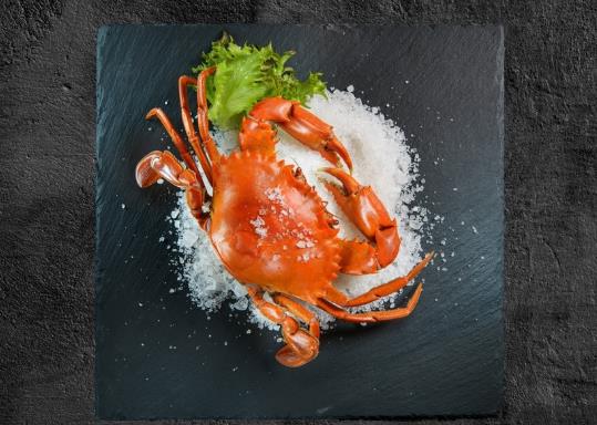 ����з��Ҫ�����ӣ����з��ô�ڷ�